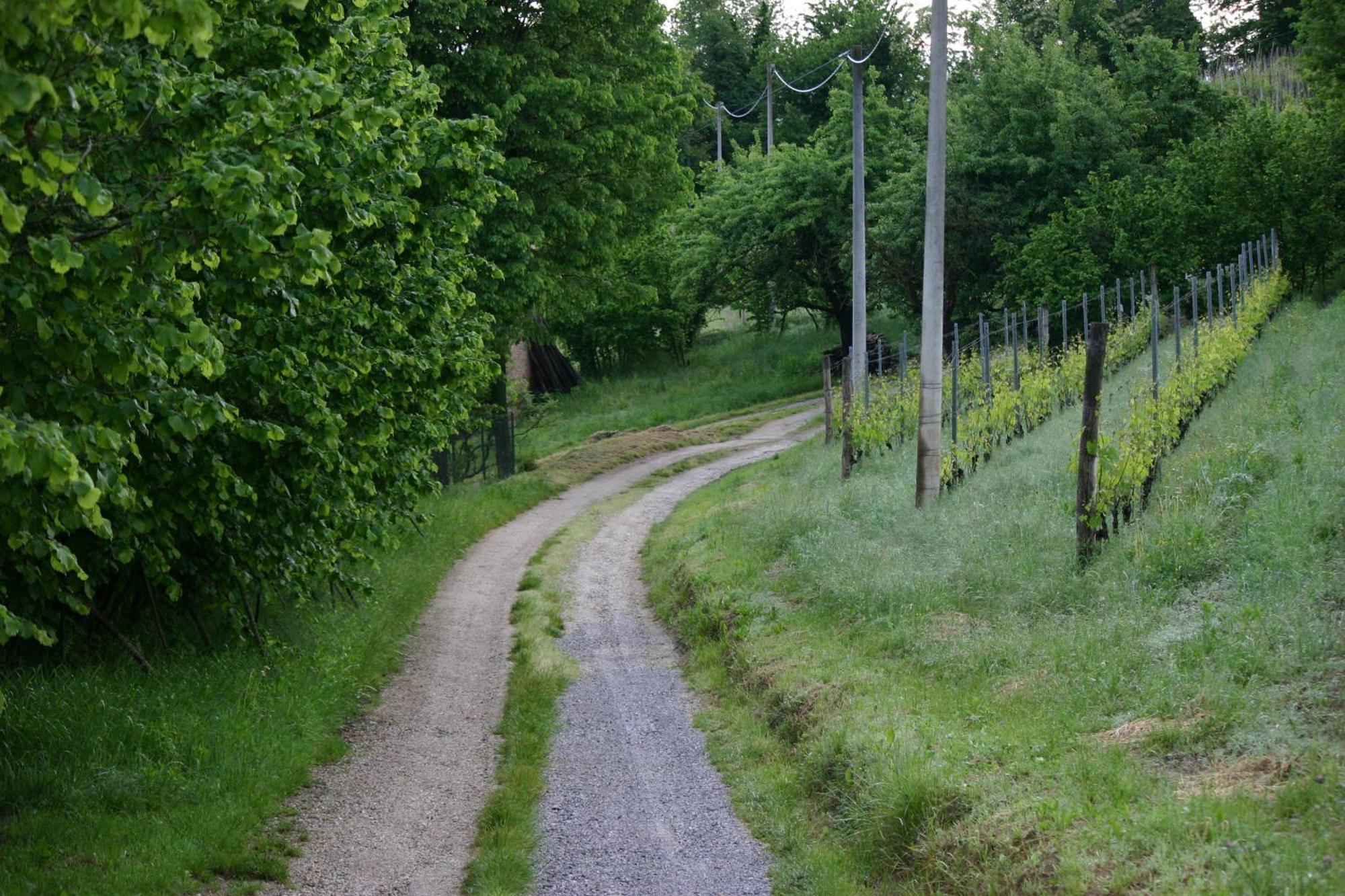 Cascina La Corte Acomodação com café da manhã Neive Exterior foto