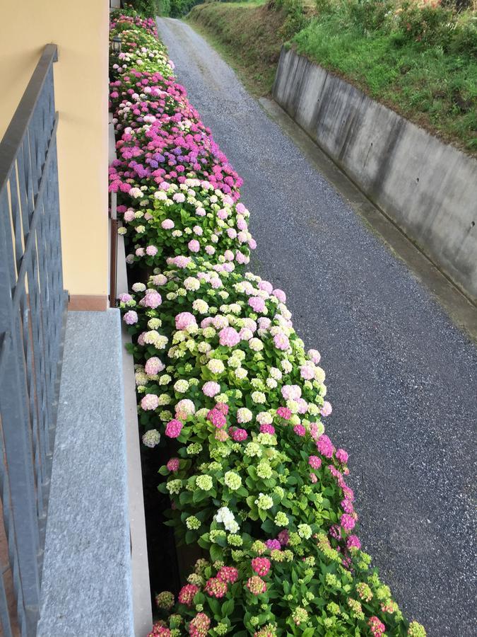 Cascina La Corte Acomodação com café da manhã Neive Exterior foto